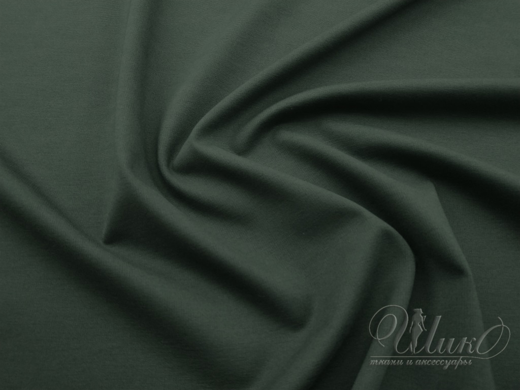Ткань Джерси  47750 2